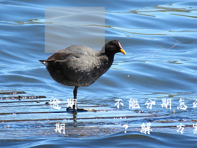 逾期賬單不能分期怎么辦呀，逾期賬單無法分期？解決方案大揭秘！